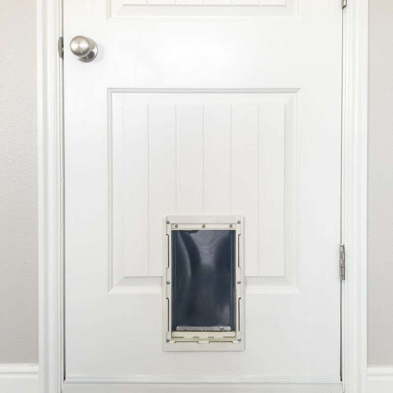Types of Pet Doors